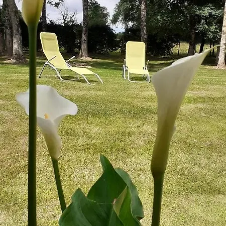 Et Table D'hotes Les Trois Marquets Bourthes