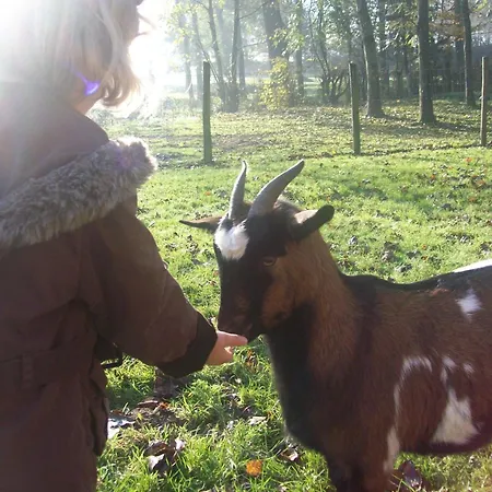 Bed & Breakfast Et Table D'hotes Les Trois Marquets