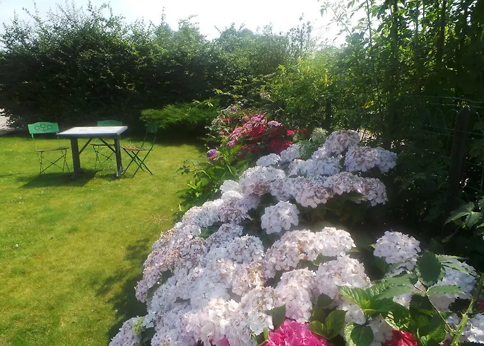 Et Table D'hôtes Les Trois Marquets 3* Bourthes