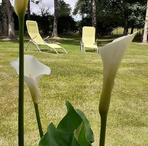 Et Table D'hôtes Les Trois Marquets Bourthes