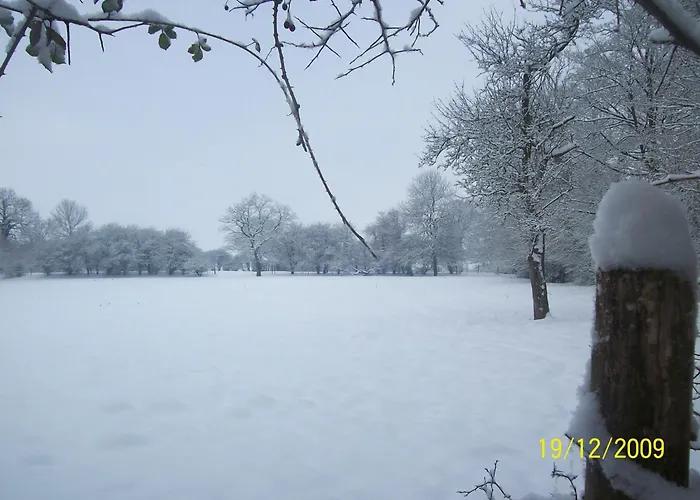 Et Table D'hôtes Les Trois Marquets Couette-café Bourthes