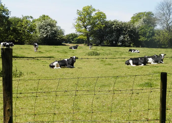 Et Table D'hôtes Les Trois Marquets Bourthes